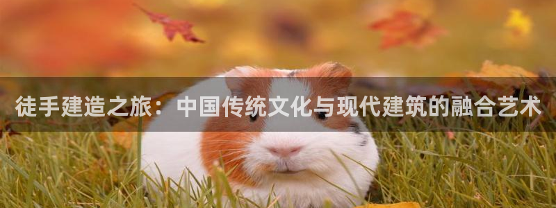 c7娱乐资讯官网入口：徒手建造之旅：中国传统文化与现代建筑的融合艺术