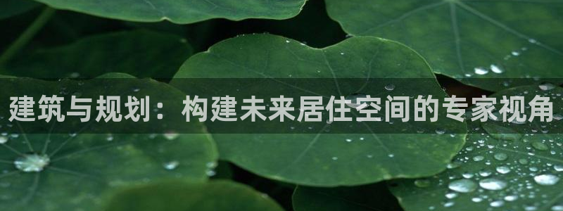 c7娱乐简介图片：建筑与规划：构建未来居住空间的专家视角