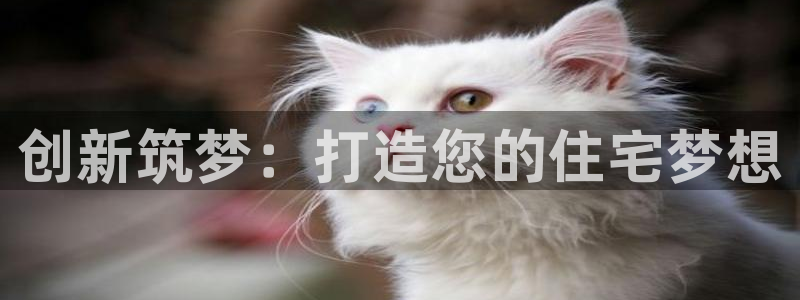 c7娱乐网：创新筑梦：打造您的住宅梦想