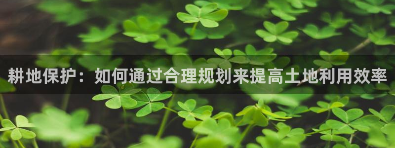 c7娱乐客服：耕地保护：如何通过合理规划来提高土地利用效率