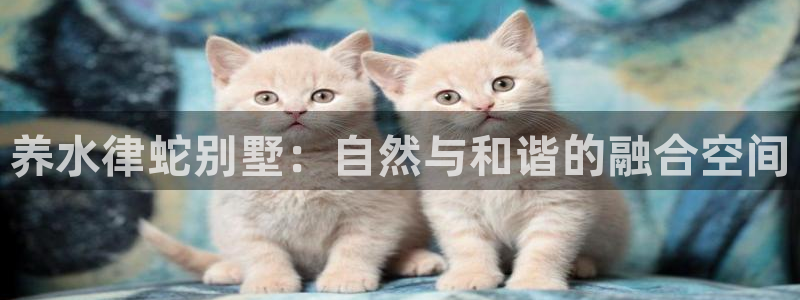 c7娱乐中国：养水律蛇别墅：自然与和谐的融合空间