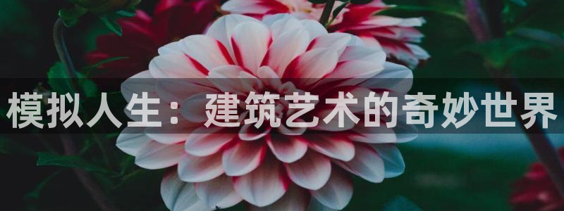 c7娱乐游戏软件：模拟人生：建筑艺术的奇妙世界