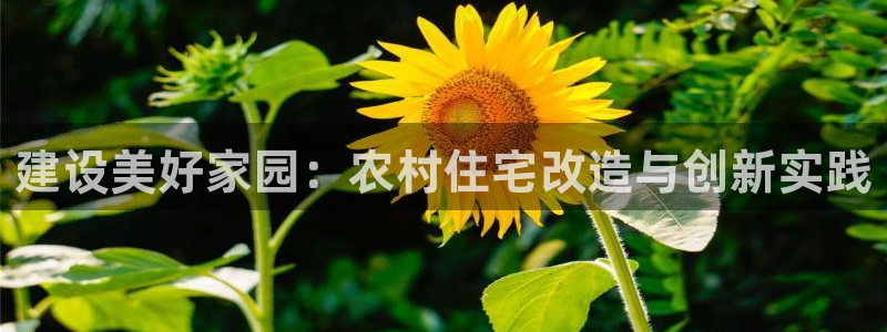 c7娱乐理财logo：建设美好家园：农村住宅改造与创新实践