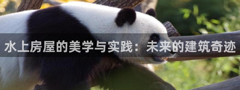 c7娱乐游戏大厅下载：水上房屋的美学与实践：未来的建筑奇迹
