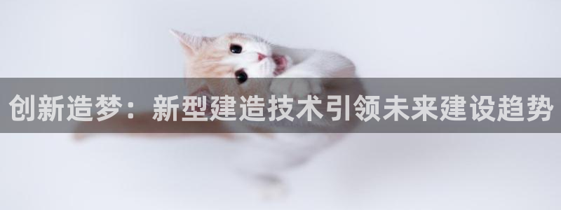 c7娱乐客服中心：创新造梦：新型建造技术引领未来建设趋势