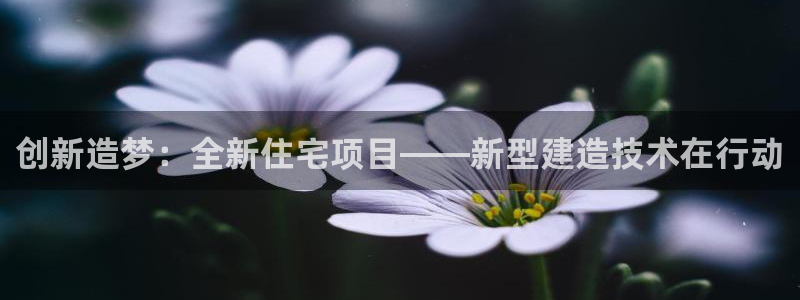 c7娱乐系统：创新造梦：全新住宅项目——新型建造技术在行动
