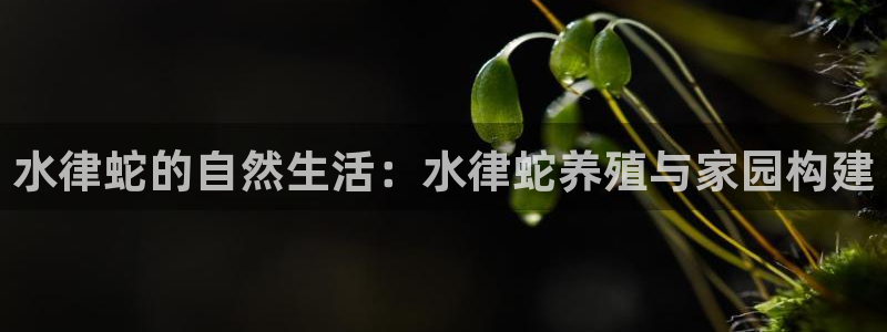 c7娱乐系统：水律蛇的自然生活：水律蛇养殖与家园构建
