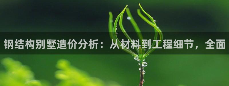 c7娱乐垫付金额：钢结构别墅造价分析：从材料到工程细节，全面