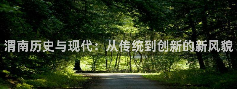 怎么下载c7娱乐大厅：渭南历史与现代：从传统到创新的新风貌