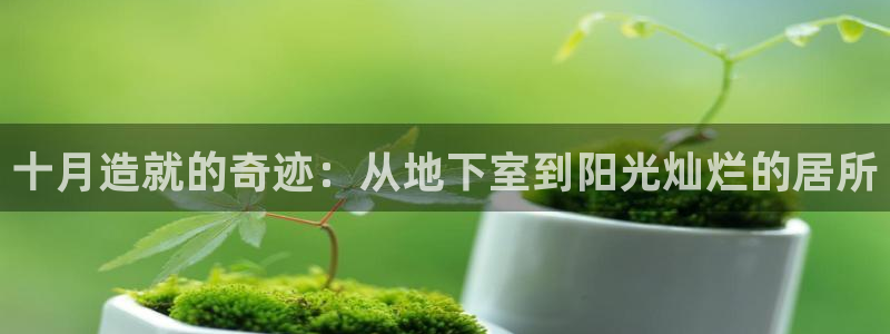 c7娱乐登录：十月造就的奇迹：从地下室到阳光灿烂的居所
