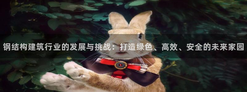 c7娱乐管理集团：钢结构建筑行业的发展与挑战：打造绿色、高效、安全的未来家园